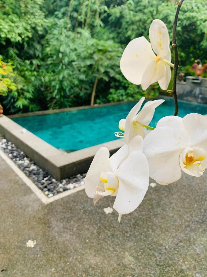 Gek House Ubud Dış mekan fotoğraf