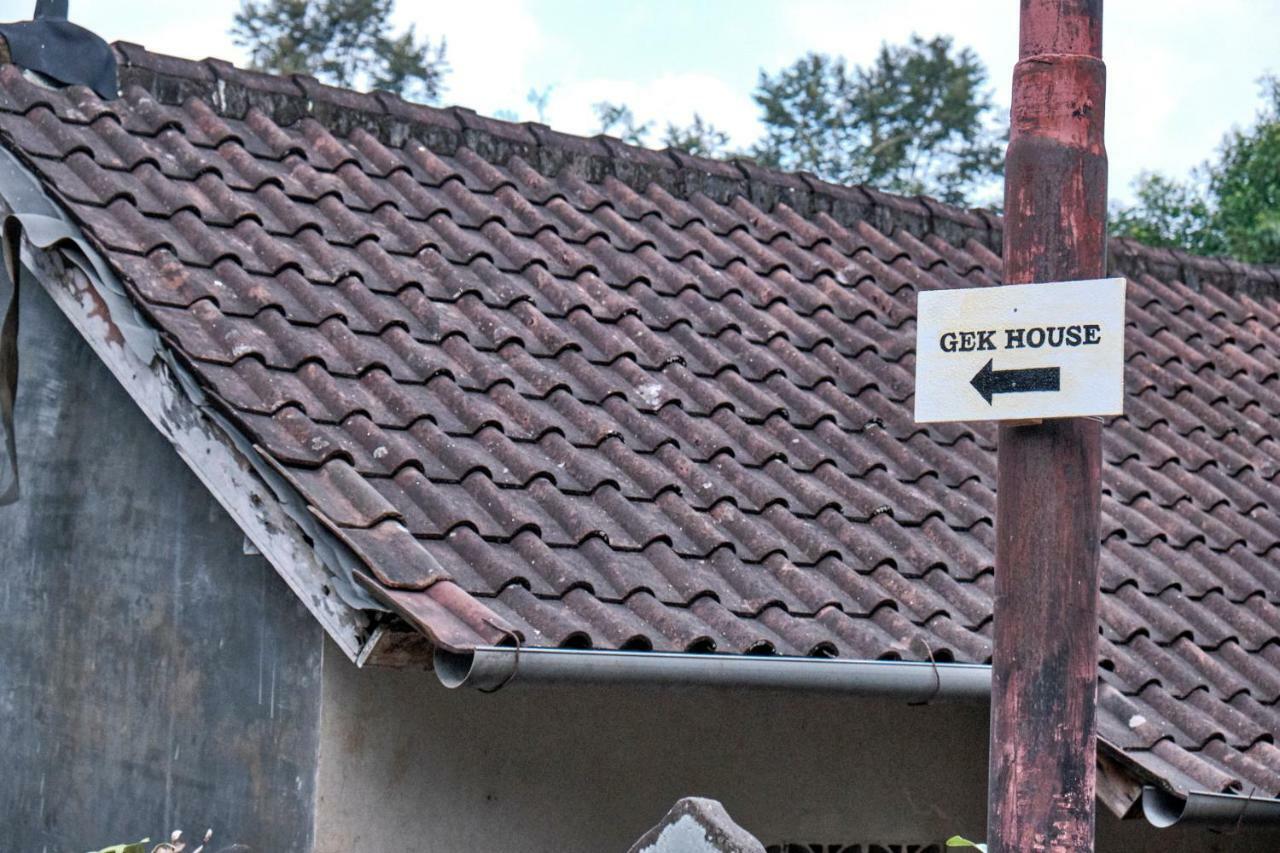 Gek House Ubud Dış mekan fotoğraf