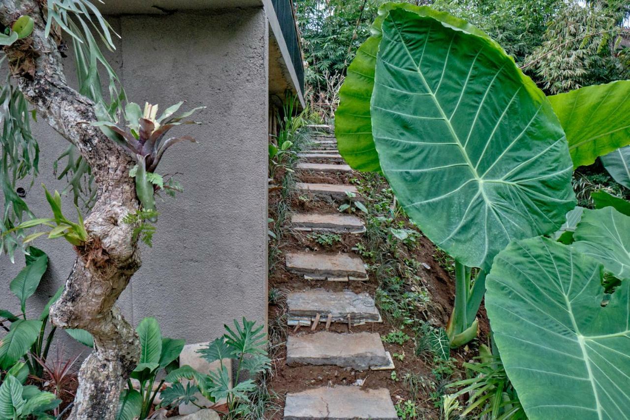 Gek House Ubud Dış mekan fotoğraf